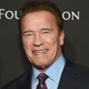 Illustration for article titled Arnold Schwarzenegger Isn't Pressing Charges Against the Guy Who Dropkicked Him